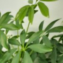 목동신정형외과의원 이미지