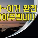 문돼지 이미지