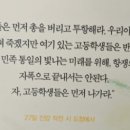 5.18민주화운동기록관 이미지