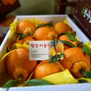 대가야미용실