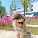 털로덮인친구들 동탄호수공원점 이미지