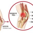 경희동인한의원 네이버블로그
