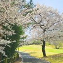 수성컨트리클럽 이미지