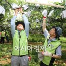 김종문농장 이미지