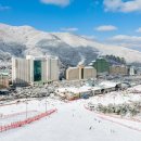 비발디파크사우나 이미지