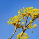 북서울꿈의숲 이미지