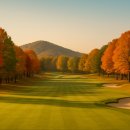 여주-0832 이미지