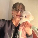 Beast Mode 이미지