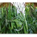 우리의 봄날 이미지