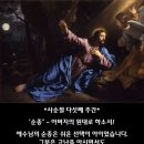 원대로 Daum카페