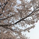 안민골프연습장 이미지