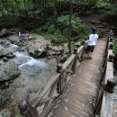 숲속나들이길 이미지