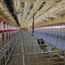 삼우농장 이미지