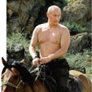 러시아 푸틴 대통령 이미지