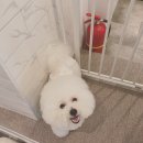 좋은느낌샵
