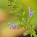 이쁜농장 이미지