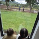 와가목장 | 제주도밭디 아이랑가볼만한곳/제주도카페/목장카페/체험카페/승마체험 이용후기