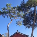 이치커피