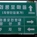 꿈틀거리는 마을 이미지