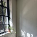 크램드밀 | 광주 동명동 “크램드밀” 내돈내산 후기 | 창가햇살 맛집에서 프렌치토스트🌿