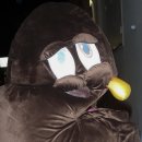 (주)티모션코리아 이미지