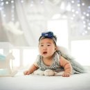 베르베르스튜디오