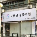 방화3동 | 강서구 방화3동 동물병원 굿모닝동물병원 위치 오는길 후기