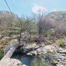 포시즌밸리계곡애견펜션 이미지