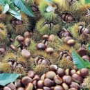 양평양동9단지 이미지