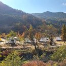 영주오토 이미지