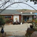 금정민물장어 이미지