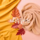 의왕동물병원 이미지