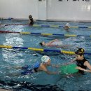 성성파인트리 수영장 이미지