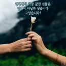 "'한양도성 순성길'과 '남산둘레길' 걷기"＜2021.03.24(수)＞ 이미지