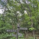 10월4일 도레미pa대장 리딩 산행 이미지