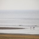 서해민박 이미지