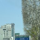 지에스메디칼 | [로또청약] 강동 헤리티지 자이 직접 다녀와 본 임장 후기 (동네 분위기, 인프라 공유)