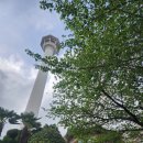 부산 핫플 남포동 가볼만한 곳 추천 &#34;부산타워&amp;용두다방&#34;