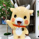 공공일컴퍼니