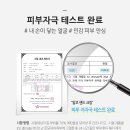 밸런스독B 이미지