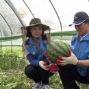 쌍정2리 이미지