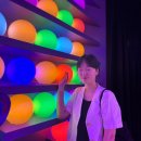 주식회사 코코마트 수완점 | 픽사, 상상의 세계로 전시 솔직후기!