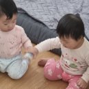 제리식탁 이미지