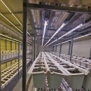 주식회사 플러스팜 이미지