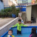 최가네정육식당