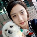 박상은 카카오 검색결과