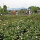 곡성-105 이미지