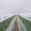 수정하우스2 이미지