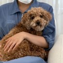 오늘의개스트 이미지