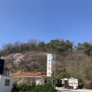 남산뜰순두부 | [군포 안산 반월호수 맛집] 남산뜰즉석순두부 | 로컬 맛집 후기